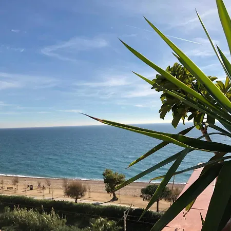 Apartment Vicam Atico Duplex