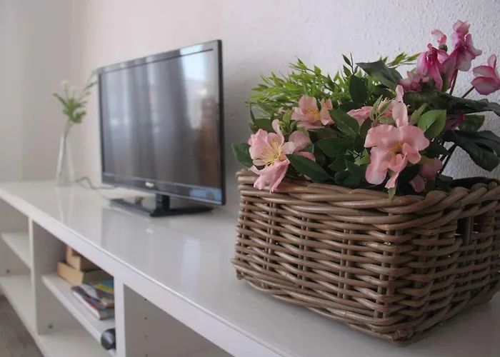 公寓 Vicam Atico Duplex